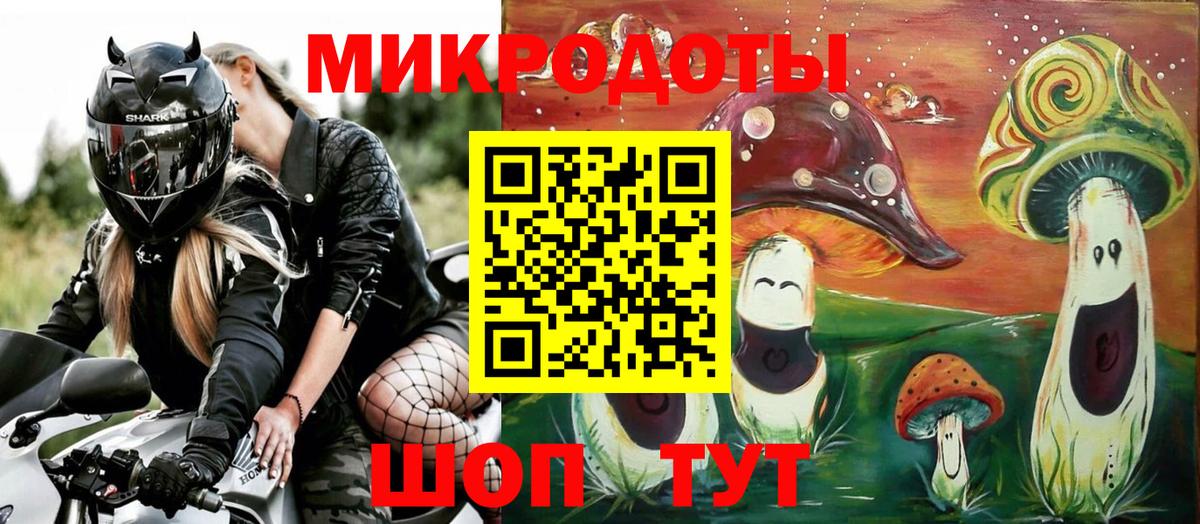 Галлюциногенные грибы Psilocybine cubensis Бор