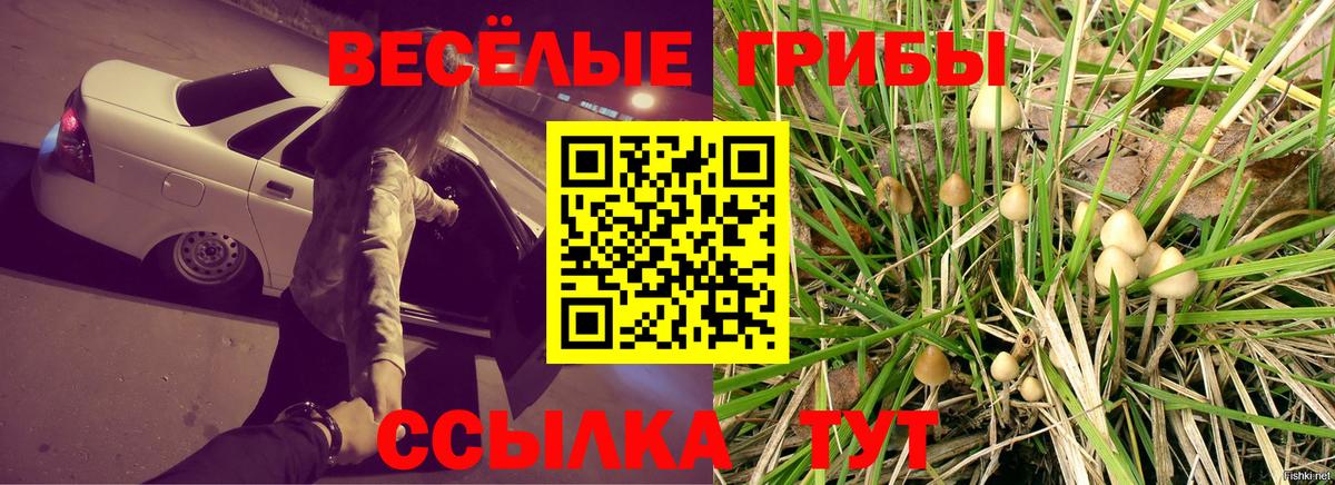 купить закладку  Псилоцибиновые грибы GOLDEN TEACHER  Вход с VPN  Бор 